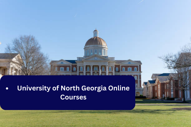 Top Trending Courses for 2025 to Consider